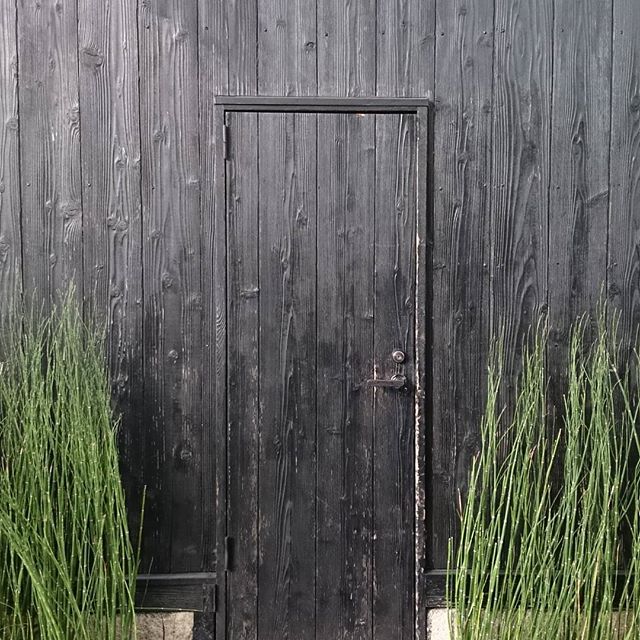 Iz katerega materiala naj bodo vrata vašega doma?